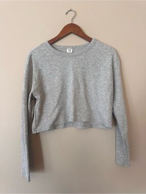 Sunday Best by Aritzia Gray Cropped Long Sleeve Tee